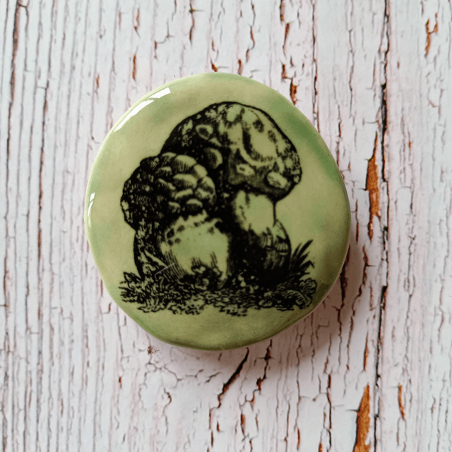 paire de magnets champignons